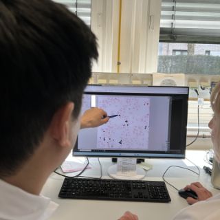 Precipoint Altona II